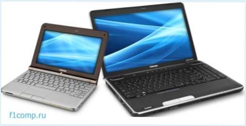 Jaka jest różnica między netbookiem a laptopem?