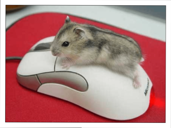 Ako upraviť citlivosť a iné funkcie myši v systéme Windows 10. Ako rozšíriť možnosti myši