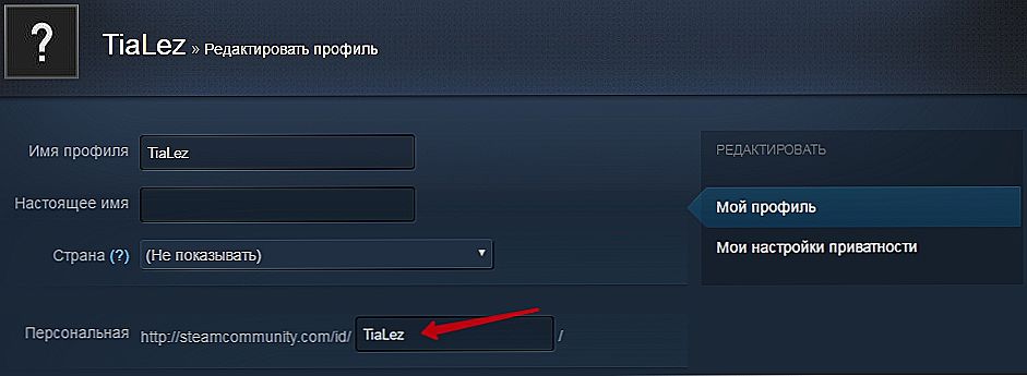 Стим айди. Идентификатор Steam. Игровой идентификатор стим. Настройки приватности стим.