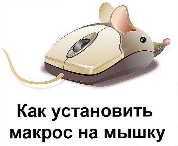 Makro instalacija na mišu