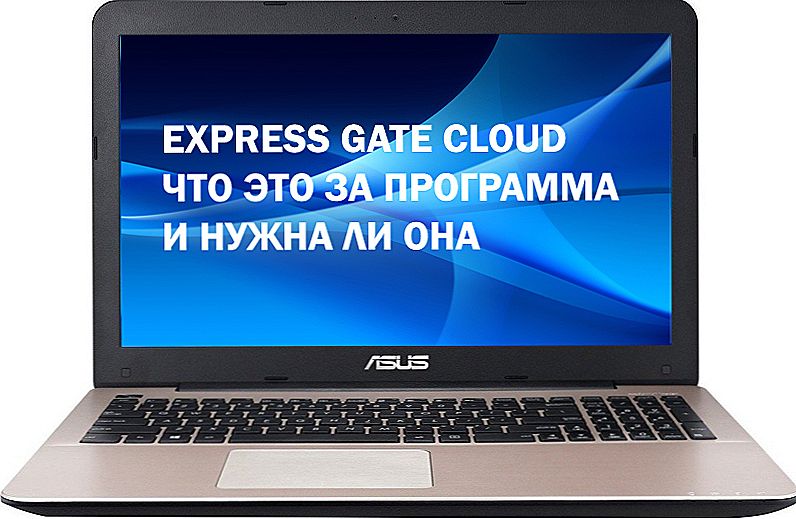 Express Gate Cloud: čo je tento program, čo je to a ako ho používať